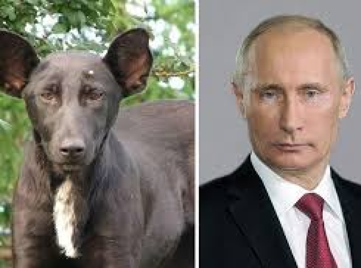 Putin